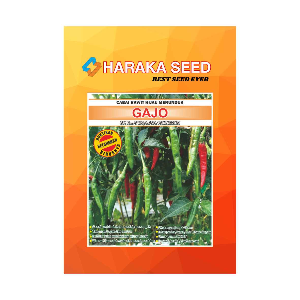 Kemasan benih Cabai Rawit Hijau Merunduk GAJO