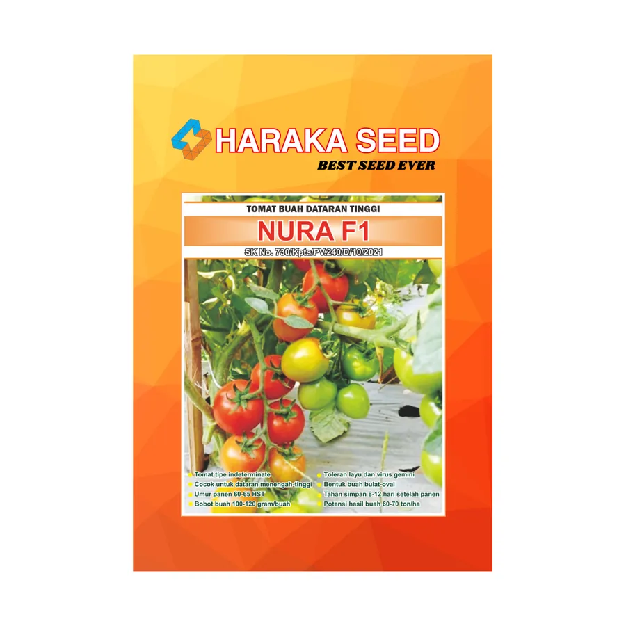 Kemasan benih Tomat Buah Dataran Tinggi NURA F1 HARAKA SEED